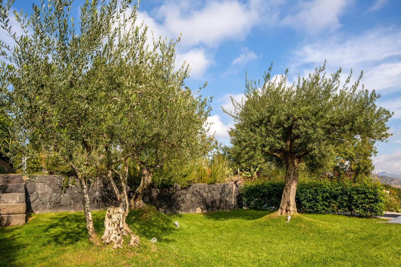 Design Villa In Piedimonte Etneo Exteriér fotografie