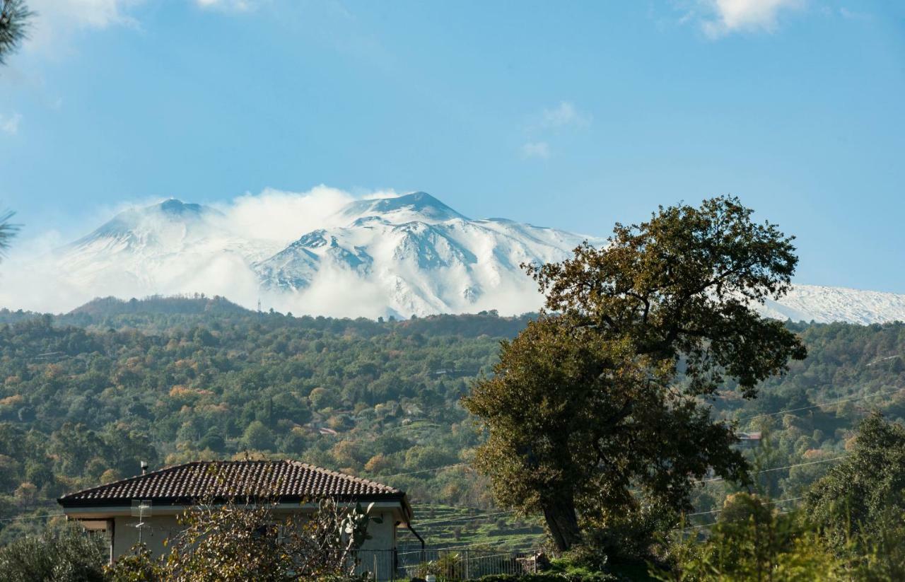 Design Villa In Piedimonte Etneo Exteriér fotografie